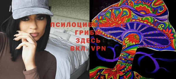 прущая мука Пролетарск