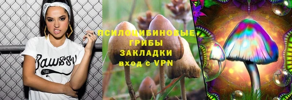 меф Протвино