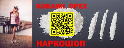 крисы Гатчина