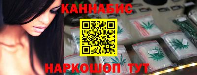 крисы Гатчина