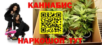 бошки Гай