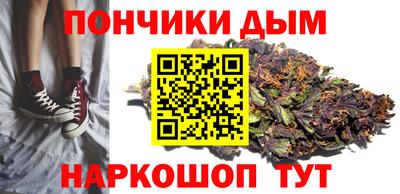 крисы Гатчина