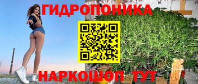 крисы Гатчина