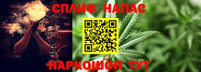 крисы Гатчина