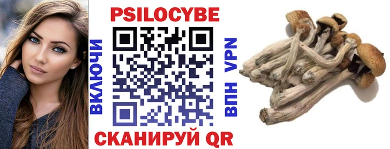 Галлюциногенные грибы GOLDEN TEACHER  где найти наркотики  Среднеуральск 