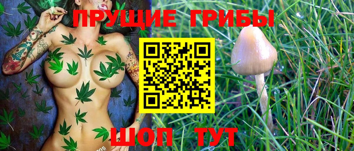 Галлюциногенные грибы MAGIC MUSHROOMS  Вход с VPN  Среднеуральск 